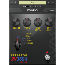 KUASSA Efektor RV3604 Reverb Plug-In