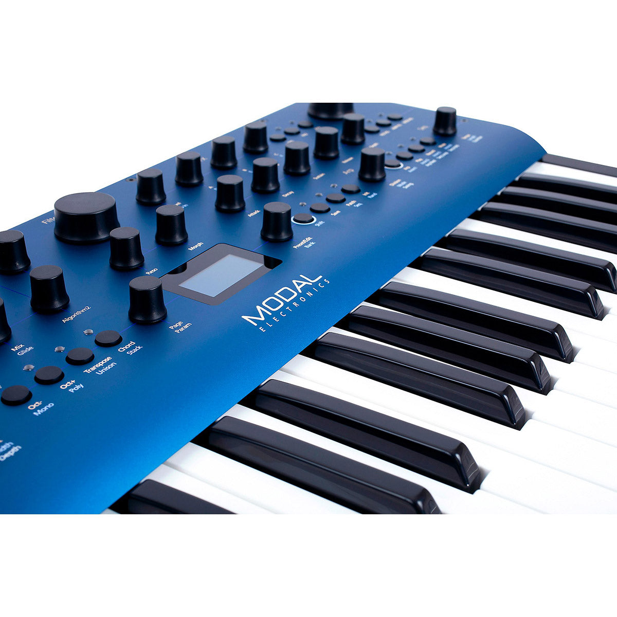 Modal Electronics Cobalt8 Extended Virtual Analog Synthesizer