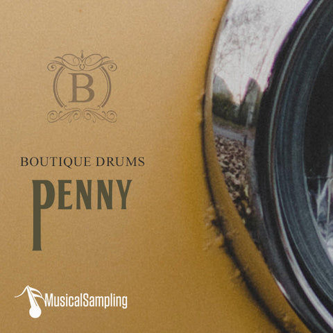 Musical Sampling Boutique Drums Penny Virtual Instrument