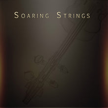 Musical Sampling Soaring Strings Virtual Instrument