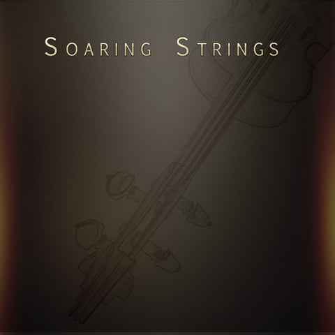 Musical Sampling Soaring Strings Virtual Instrument