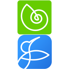 Rising Software Auralia 6 Musition 6 Cloud Bundle