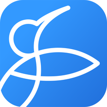 Rising Software Musition 6 (Educational)