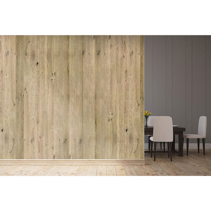 ViCoustic Flat Panel VMT (Environmental Examples)