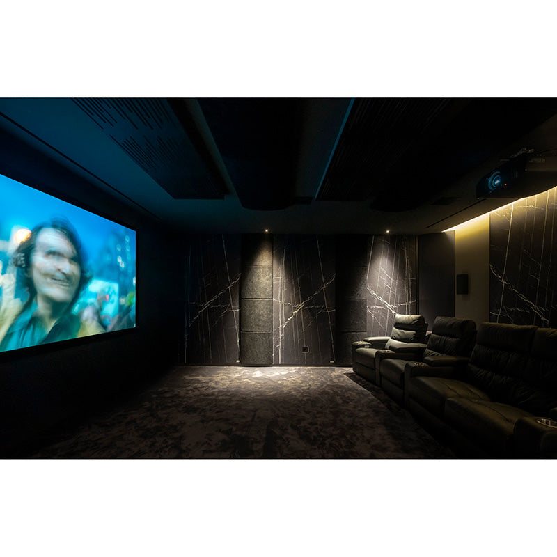 ViCoustic Flat Panel VMT (Environmental Examples)