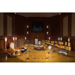 Vienna Symphonic Library Synchron Percussion II Upgrade to Full