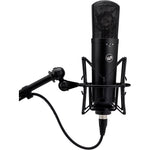 Warm Audio WA-87 R2 Condenser Microphone (Black)