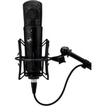 Warm Audio WA-87 R2 Condenser Microphone (Black)