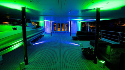 Chauvet Freedom Par Hex-4 LED Light (RGBAW+UV) - FREEDOMPARHEX4