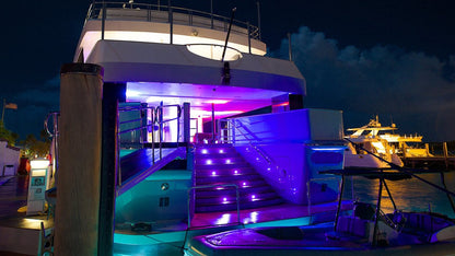 Chauvet Freedom Par Hex-4 LED Light (RGBAW+UV) - FREEDOMPARHEX4